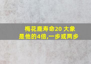 梅花鹿寿命20 大象是他的4倍,一步或两步